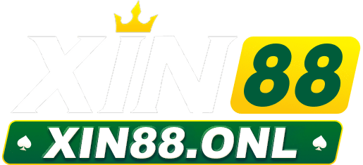 xin88.onl